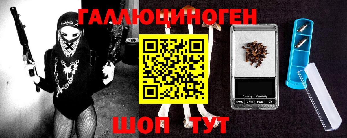 где купить   Галлюциногенные грибы MAGIC MUSHROOMS  Вход с VPN  Лабинск 